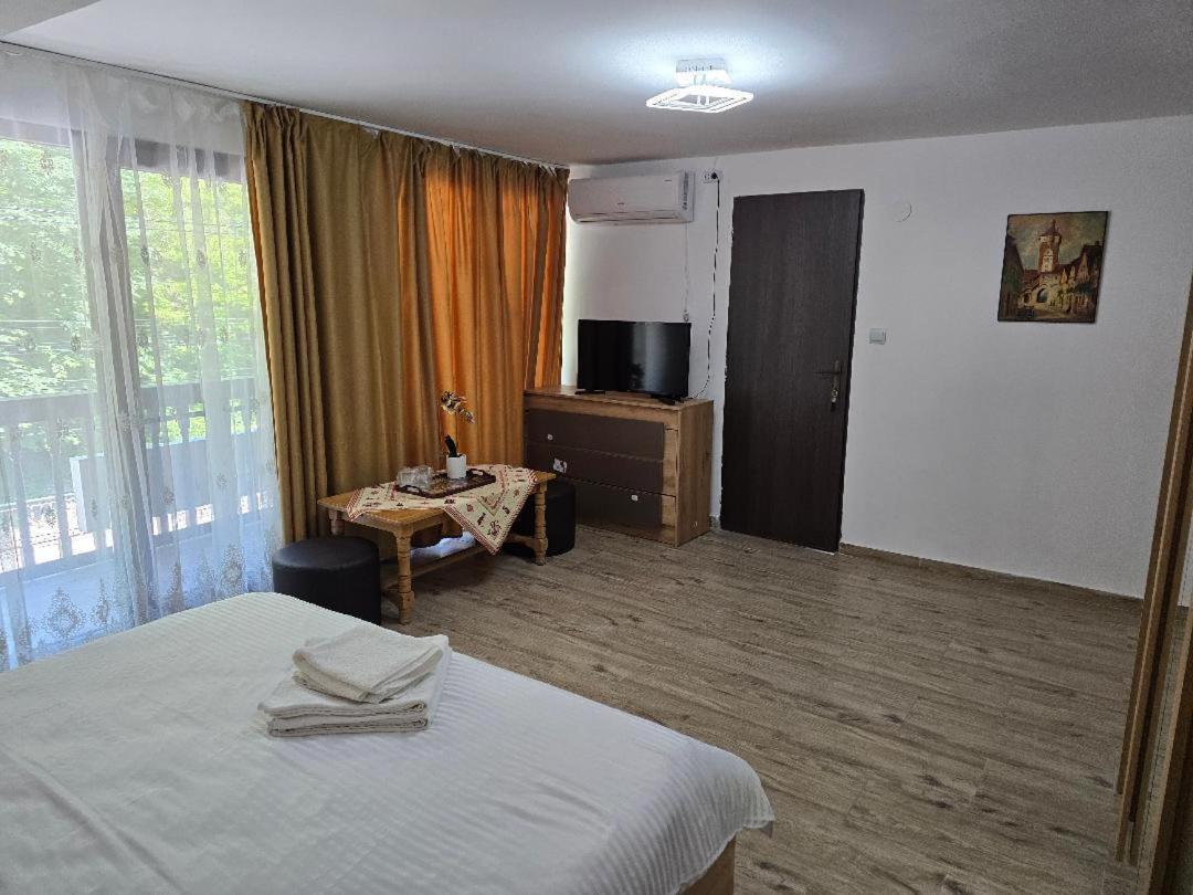 Casa Vivian Hotel Baile Herculane Exterior photo